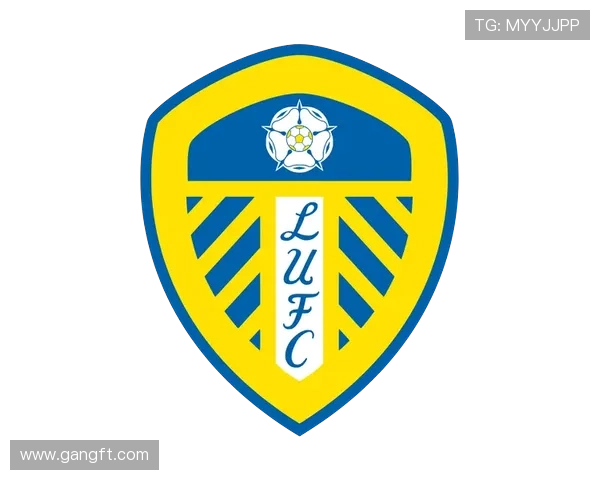 围绕以利兹联俱乐部全面探讨其历史荣耀与未来发展路径深度研究的 围绕以利兹联俱乐部全面探讨其历史荣耀与未来发展路径深度研究的